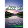 Renewal in the Wilderness: A Spiritual Guide to Connecting with God in the Natural World