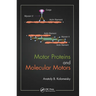 Motor Proteins and Molecular Motors