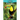 Toucans