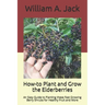 How-to Plant and Grow the Elderberries: An Easy Guide to Planting these Fast Growing Berry Shrubs for Healthy Fruit and More