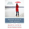 Raven Stole the Moon