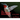 The Ruby-throated Hummingbird: A photo essay