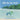 Billy the Sea Turtle