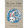 The Water Rabbit: Lost at sea... and finding myself