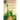 Mosaic: Caribbean Short Story Collection