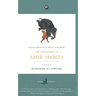 The Adventures of Amir Hamza