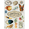 The Curious Collections Sticker Book