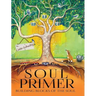 Soul Primer: The Building Blocks of Happiness