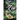 Zoo