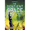 The Sentient Space - Log Entry 2