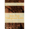 Aaron Finds Underground Seattle
