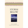 Storm Below