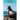 Sea Lions