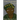One Hundred Pearls