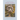 The Collected Poems of Denise Levertov