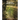 A Journey Of Reflections