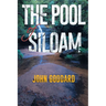 The Pool of Siloam