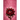 Scarred Petals: A Bloom Stunted by Storms