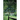 The Dead Summer