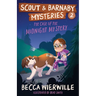 The Case of the Midnight Mystery