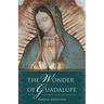 The Wonder of Guadalupe