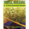 Medical Marijuana: 4 - 6 Plant Perpetual Garden