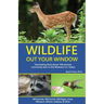 Wildlife Out Your Window: Fascinating Facts About 100 Animals Commonly Seen in the Midwest U.S. States