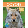Coyote: Fascinating Animal Facts for Kids