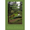 Our Sufficient Guide: A Study of the Bible