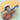Frederico the Mouse Violinist: Learn the Parts of the Violin