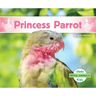 Princess Parrot