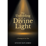 The Unfolding of Divine Light: A Theology for Our Time