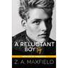 A Reluctant Boy Toy: A demisexual, bi awakening romance
