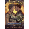 Teach the Torches to Burn: A Romeo & Juliet Remix