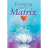 Emerging From the Matrix: Healing Human Trauma and Ending Global Enslavement