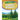 Forest Biomes