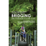 Bridging the Vernacular Gap: Safeguarding Devices in English-Romanian Translation