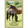 Jill's Ponies: Black Boy and Rapide