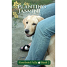 Planting Jasmine: Riverbend Falls Book 2