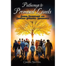 Pathways to Promised Lands Sacred Pilgrimages and Ultimate Spiritual Aspirations