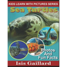 Sea Turtles: Photos and Fun Facts for Kids