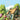 My Little Cottage in the Woods: A Rhyming Adventure of Simple Living and Woodland Friends for Kids