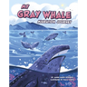 My Gray Whale Migration Journey