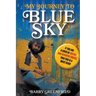 My Journey to Blue Sky