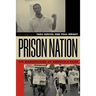 Prison Nation: The Warehousing of America's Poor