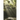 Hiding in Plain Sight