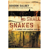 No Small Snakes: A Journey Into Spiritual Warfare