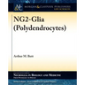 NG2-Glia (Polydendrocytes)