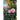 100 Roses for the South Florida Garden