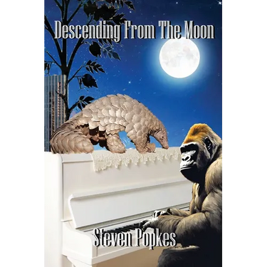 Descending From The Moon